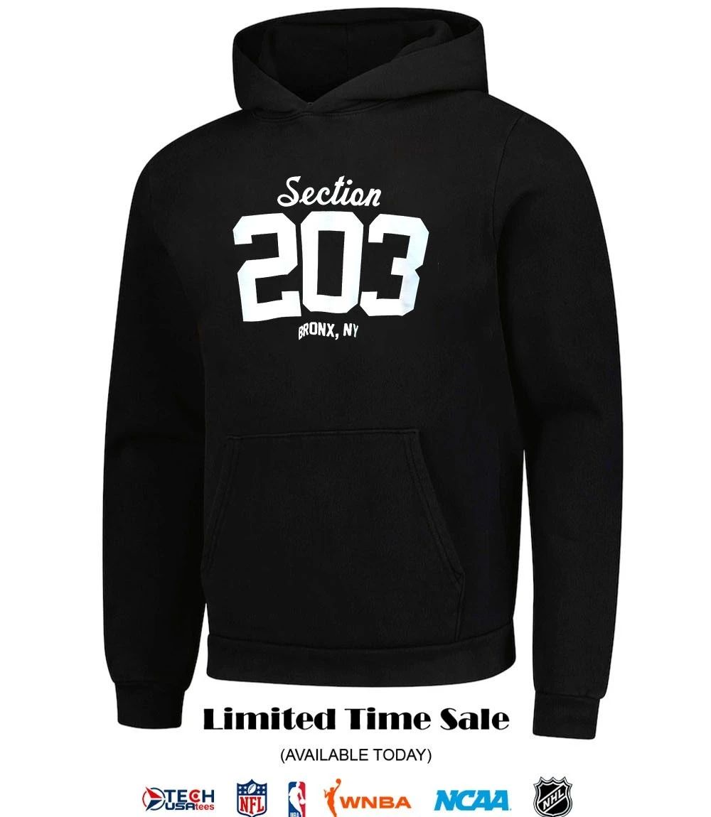 New York Yankees Section 203 Bronx NY shirt