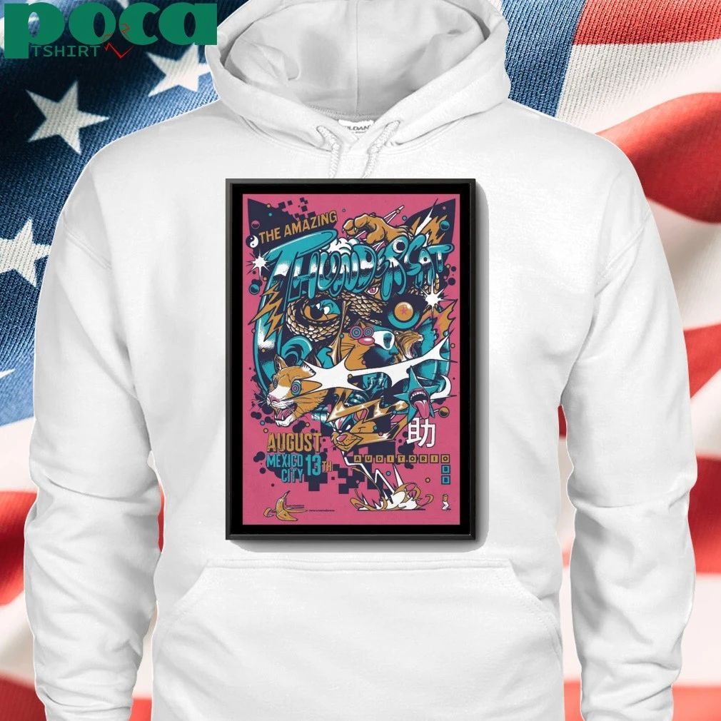 Thundercat August 13, 2025 Auditorio BB, Mexico City, Mexico Poster shirt