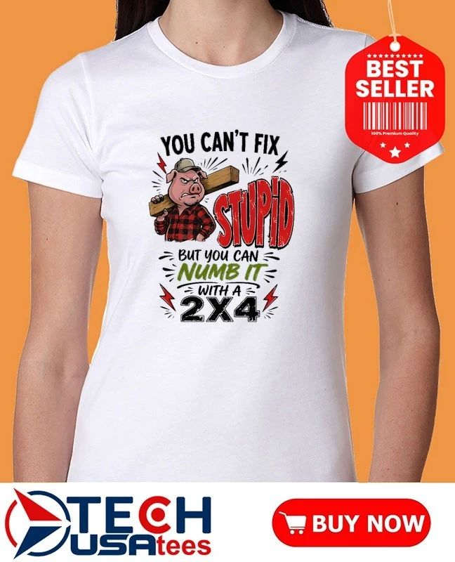 Pig You can’t fix stupid but you can numb it with a 2×4 shirt