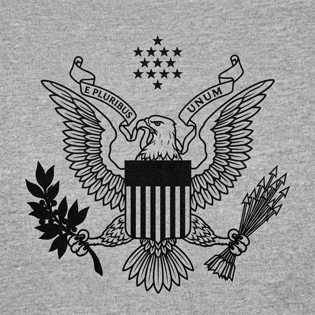 US Eagle Great Seal of the United States Graphic