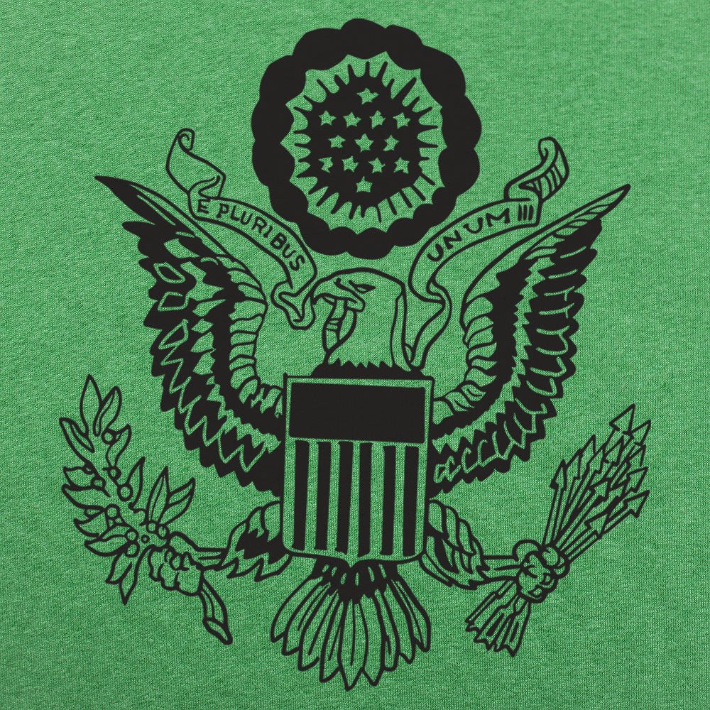 US Eagle Great Seal of the United States Graphic