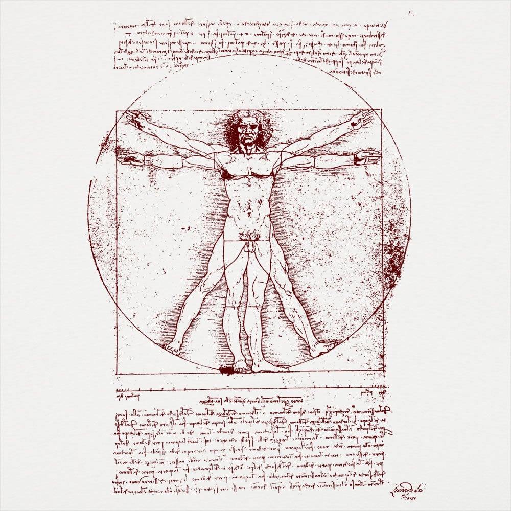 The Vitruvian Man Da Vinci Anatomy Sketch