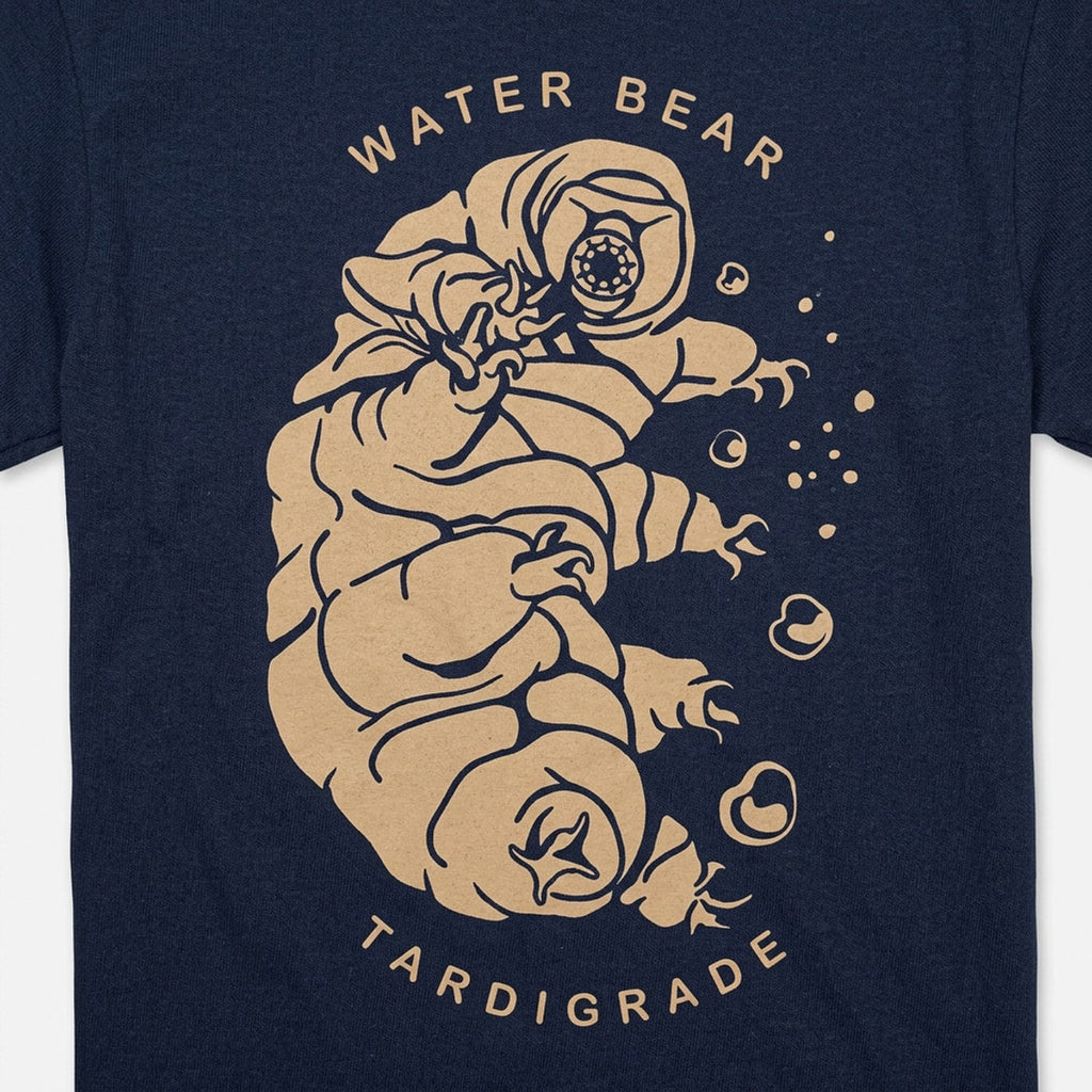 Water Bear Tardigrade Illustration