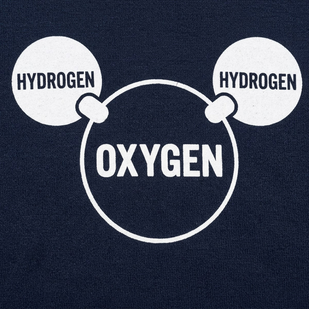 Water Molecule Diagram
