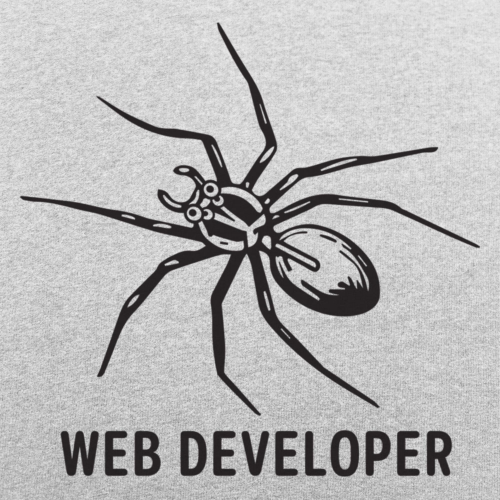 Web Developer Spider Pun