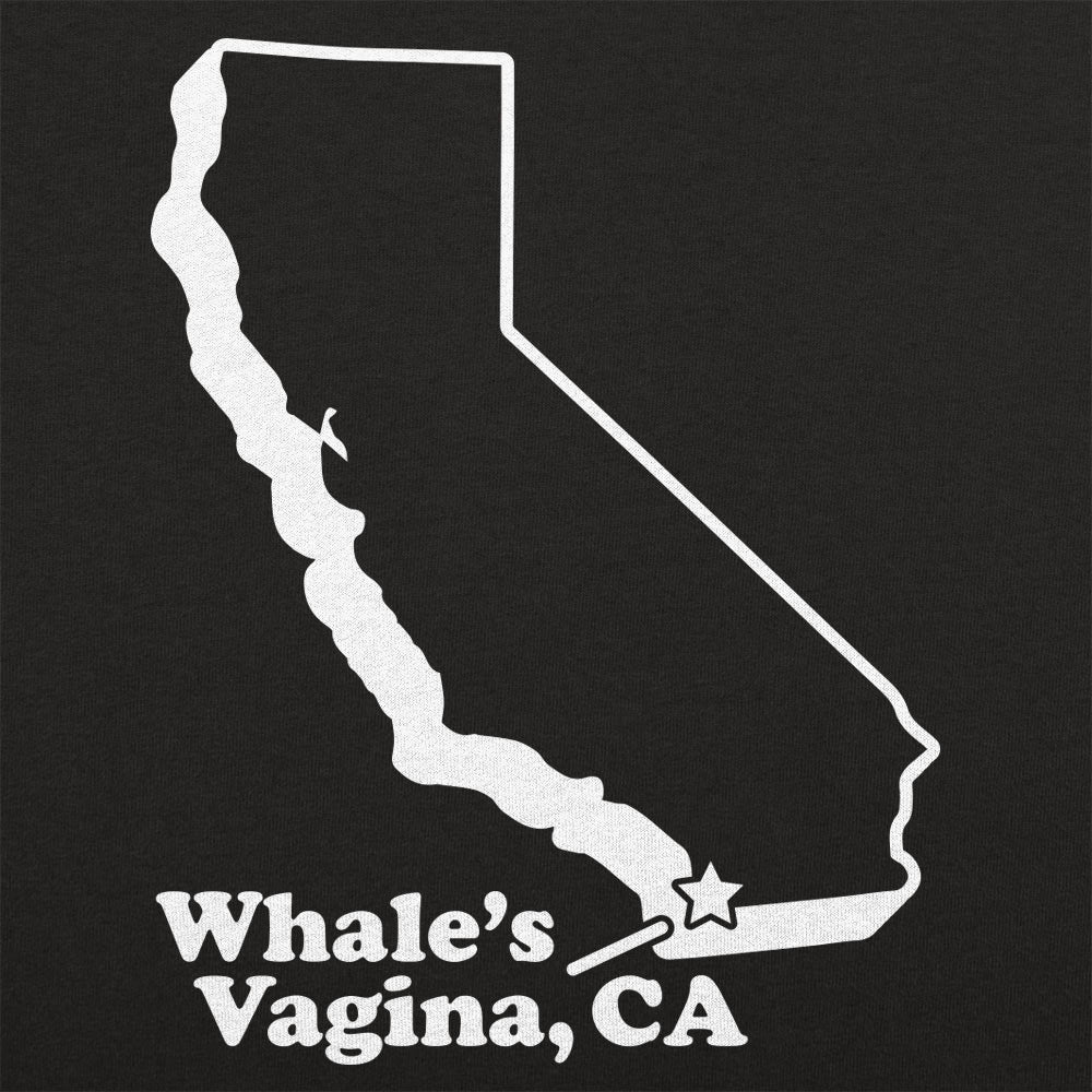 Whale's Vagina, CA San Diego FunnyMap
