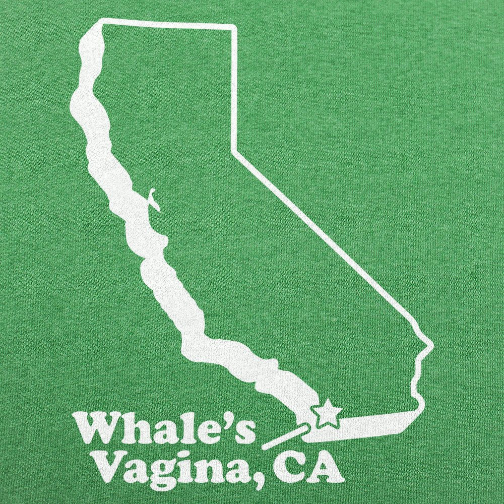 Whale's Vagina, CA San Diego FunnyMap