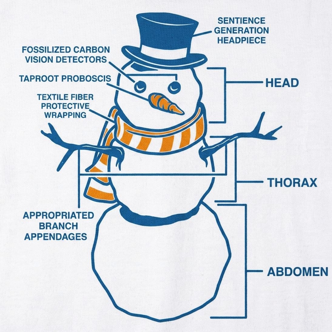 Snowman Anatomy Diagram