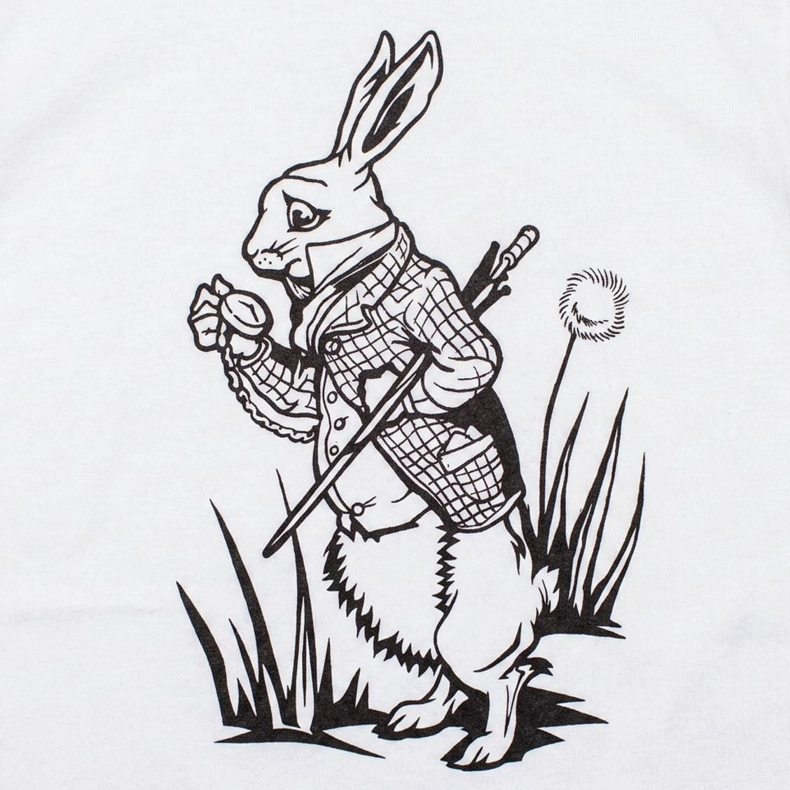 The White Rabbit Checking His Pocket Watch