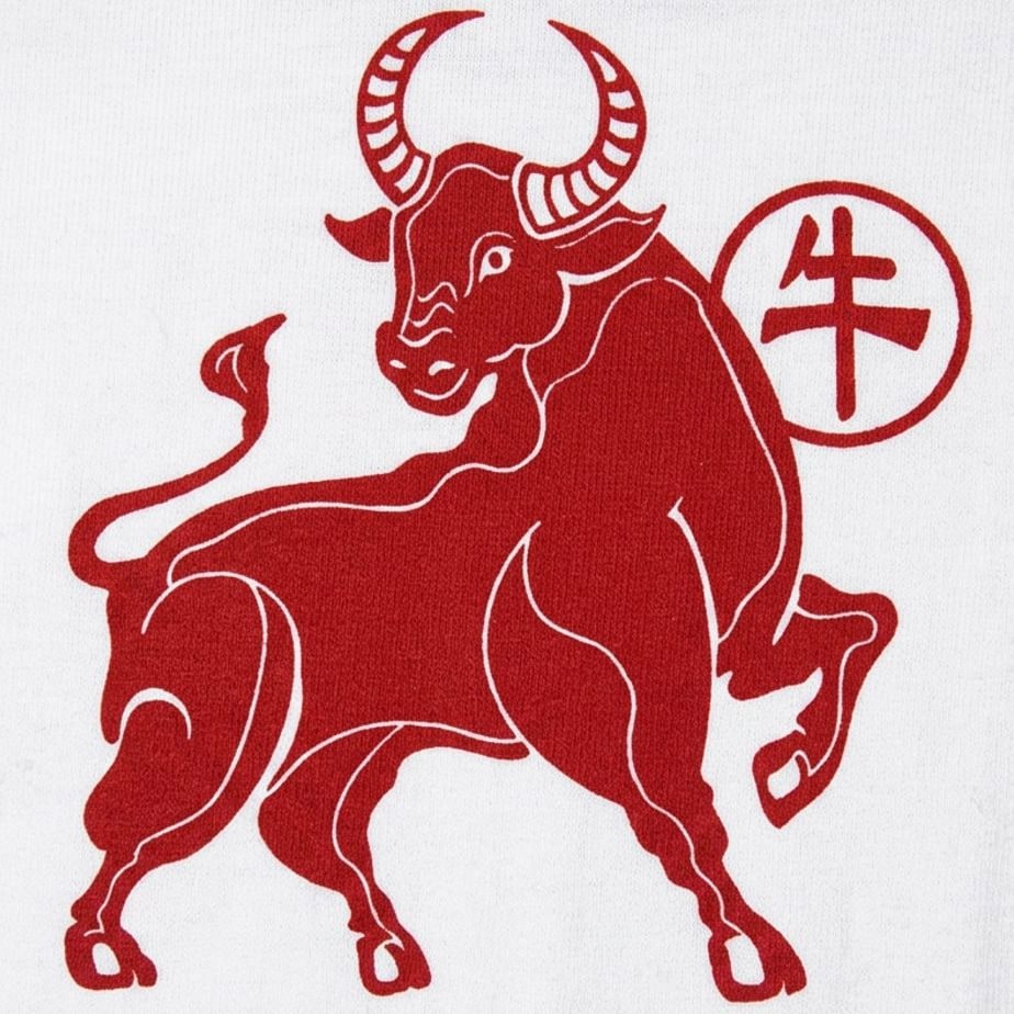 Year Of The Ox Chinese Zodiac Ox Design