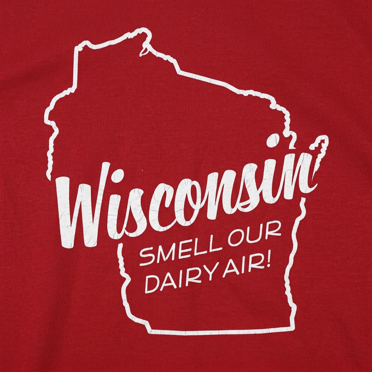 Wisconsin Smell Our Dairy Air Pun