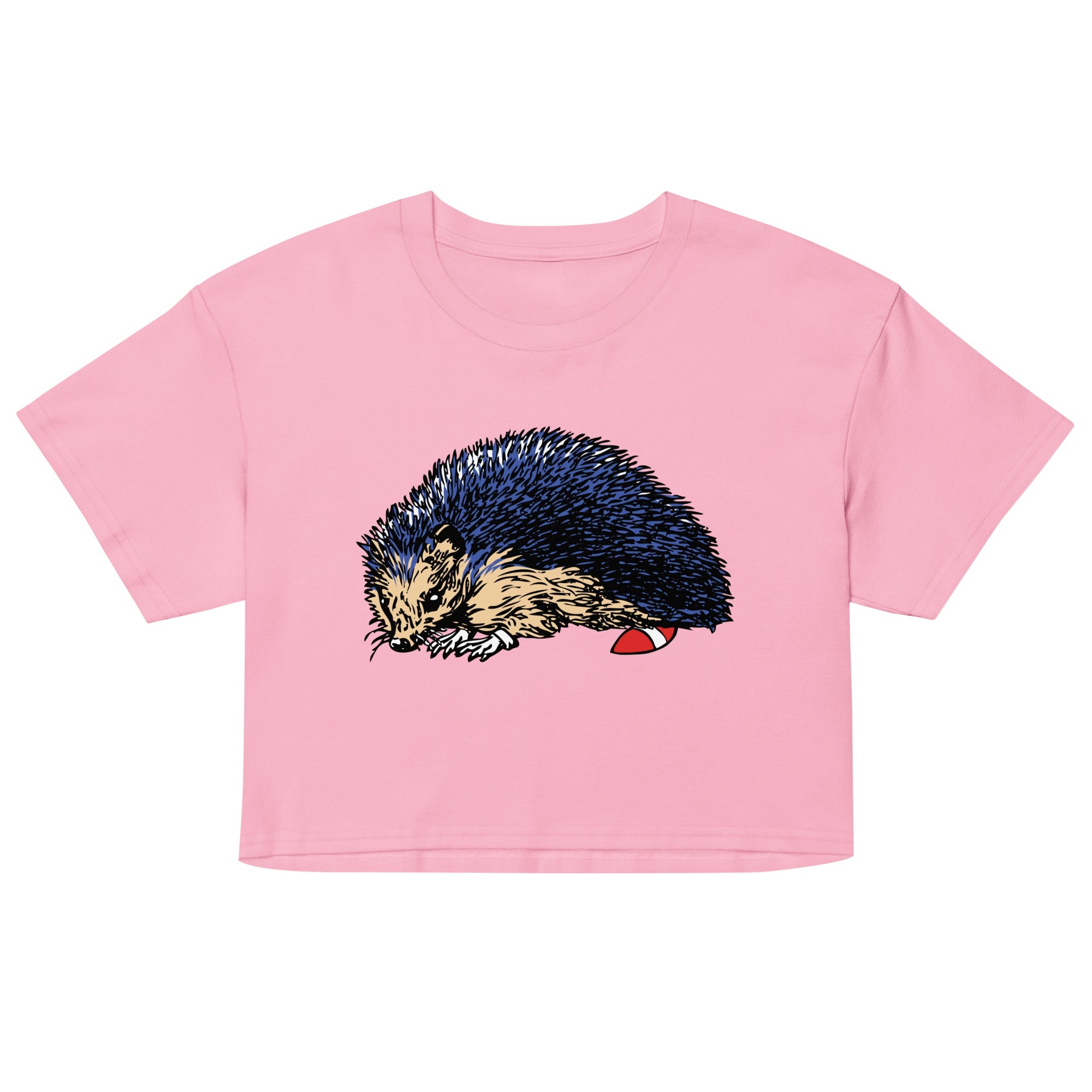 Gotta Go Fast Women's Crop Tee