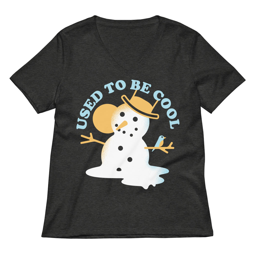 Used To Be Cool Women's V-Neck Tee