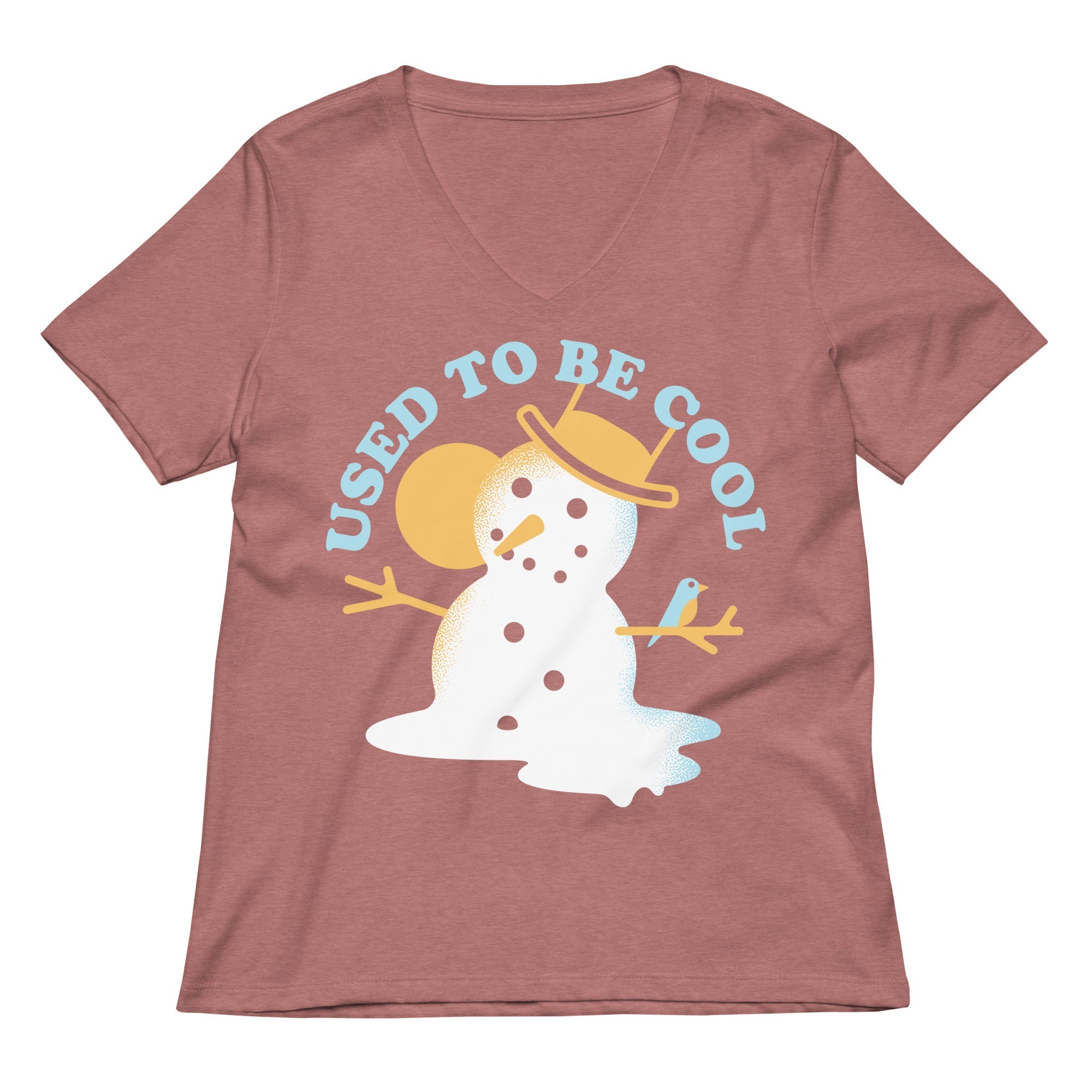 Used To Be Cool Women's V-Neck Tee