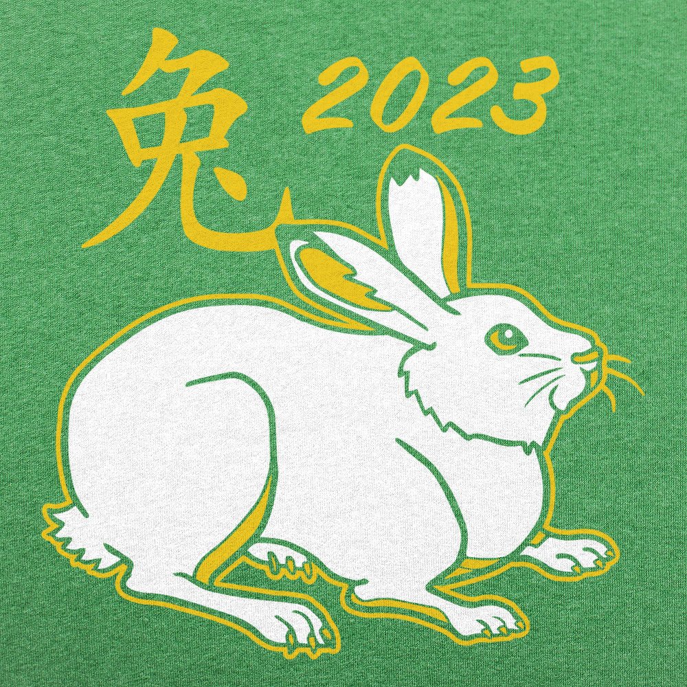 Year of the Rabbit 2023 Chinese Zodiac Bunny