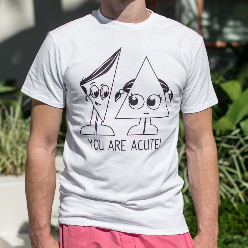 You Are Acute Cartoon Triangle Couple Pun
