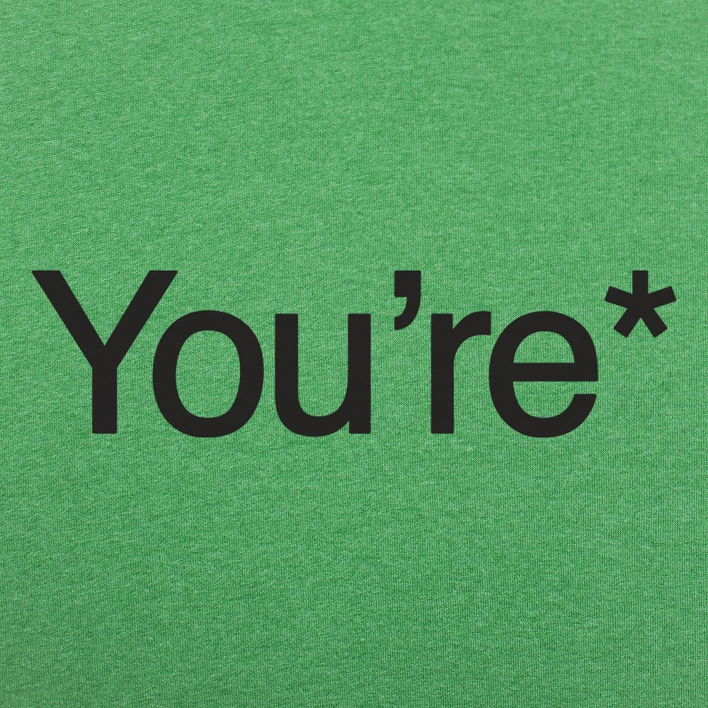 You're* Grammar Correction Meme