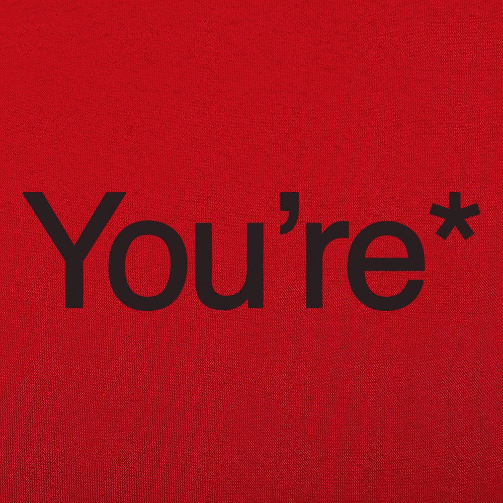 You're* Grammar Correction Meme