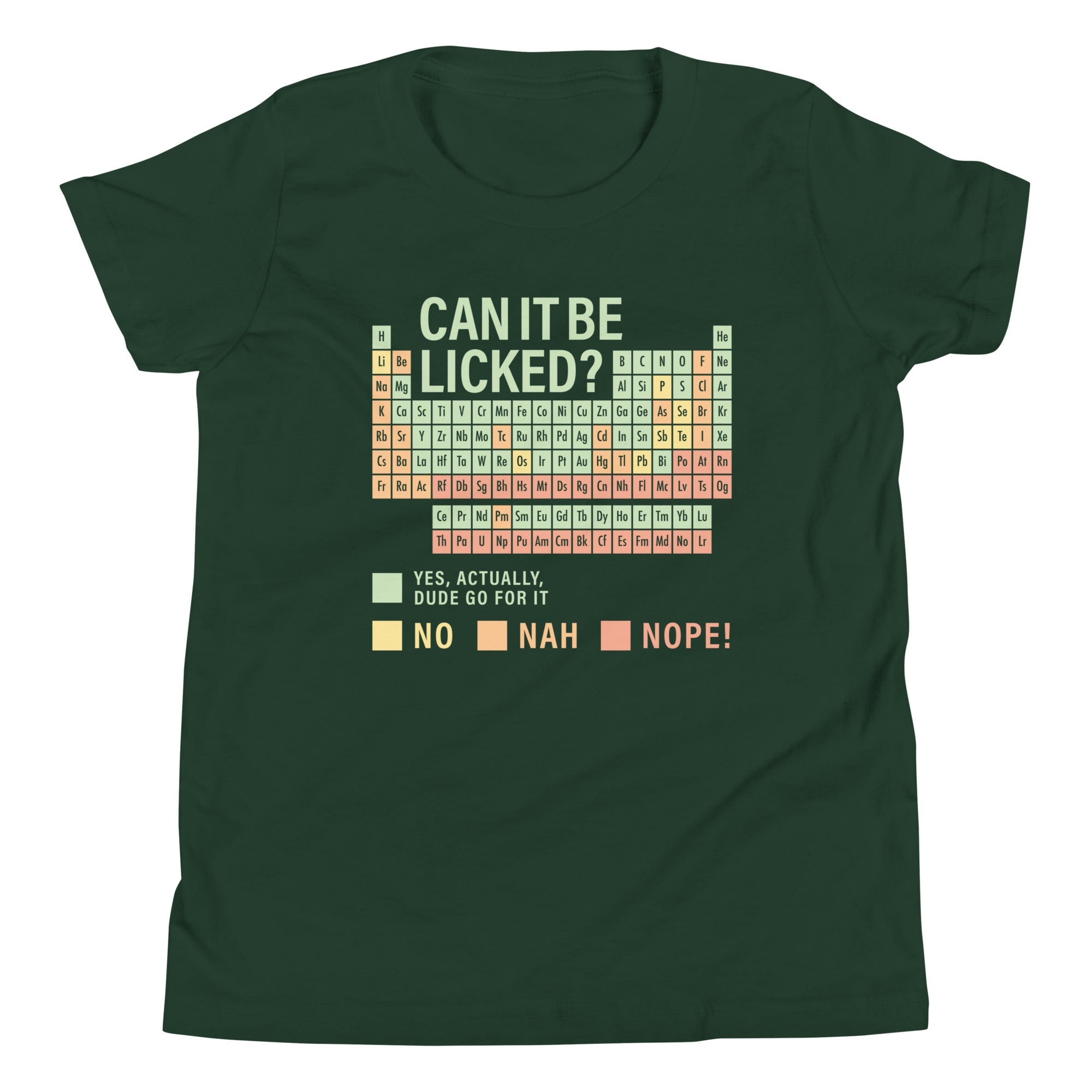 Can It Be Licked? Kid's Youth Tee
