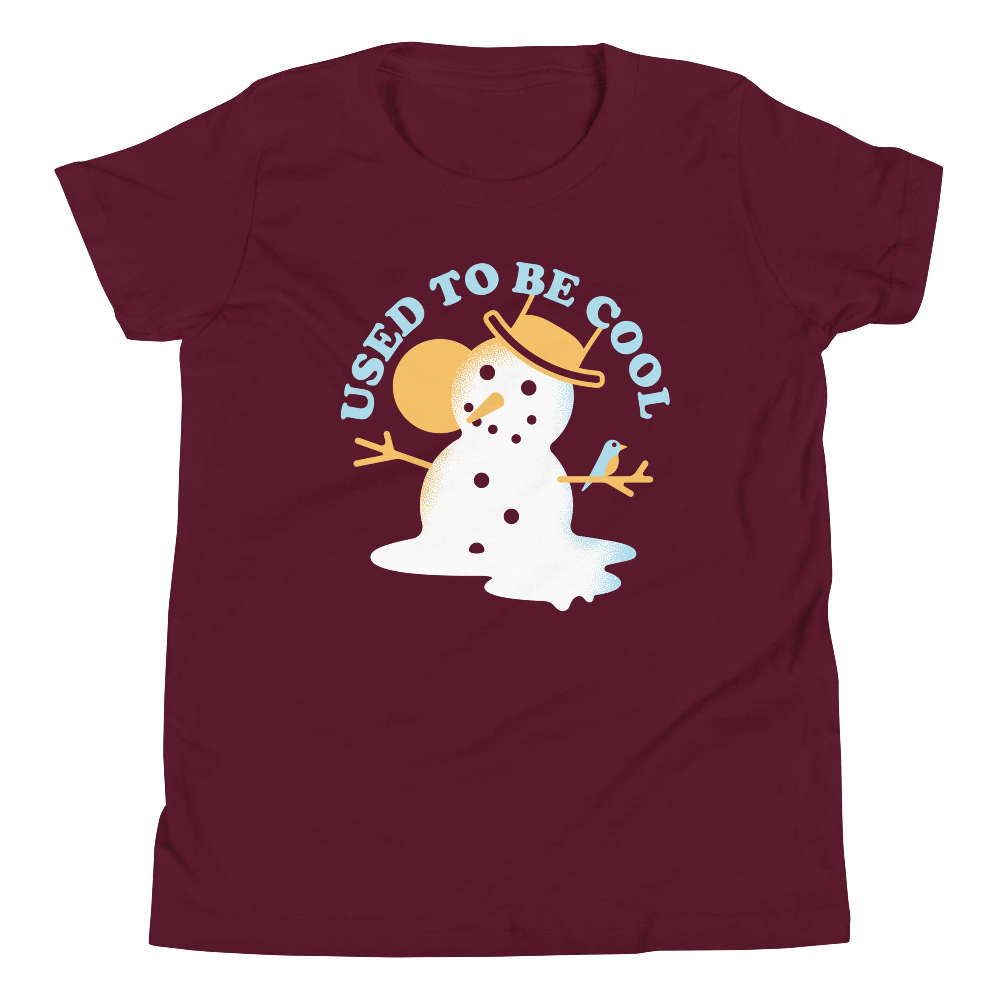 Used To Be Cool Kid's Youth Tee